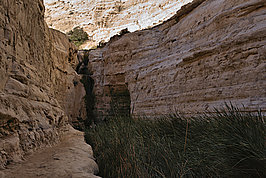 En Avdat (4v9)_t.jpg